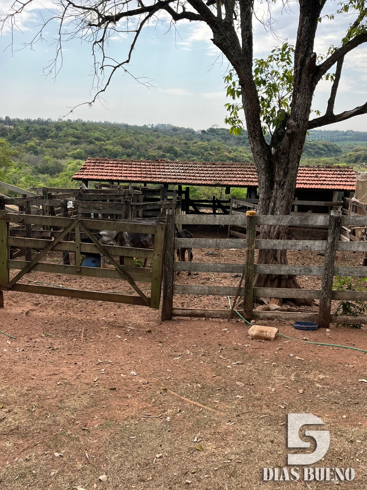 SITIO A VENDA REGIAO RIO BATALHA BAURU