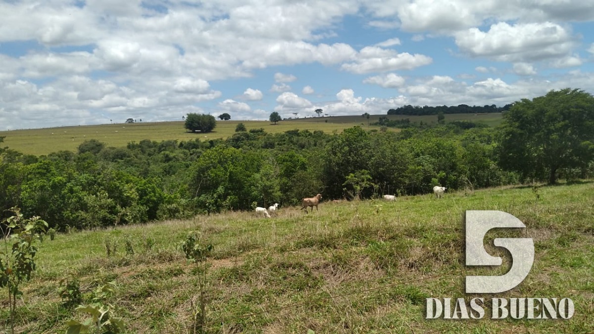 FAZENDA REGIAO BAURU 119 ALQUEIRES