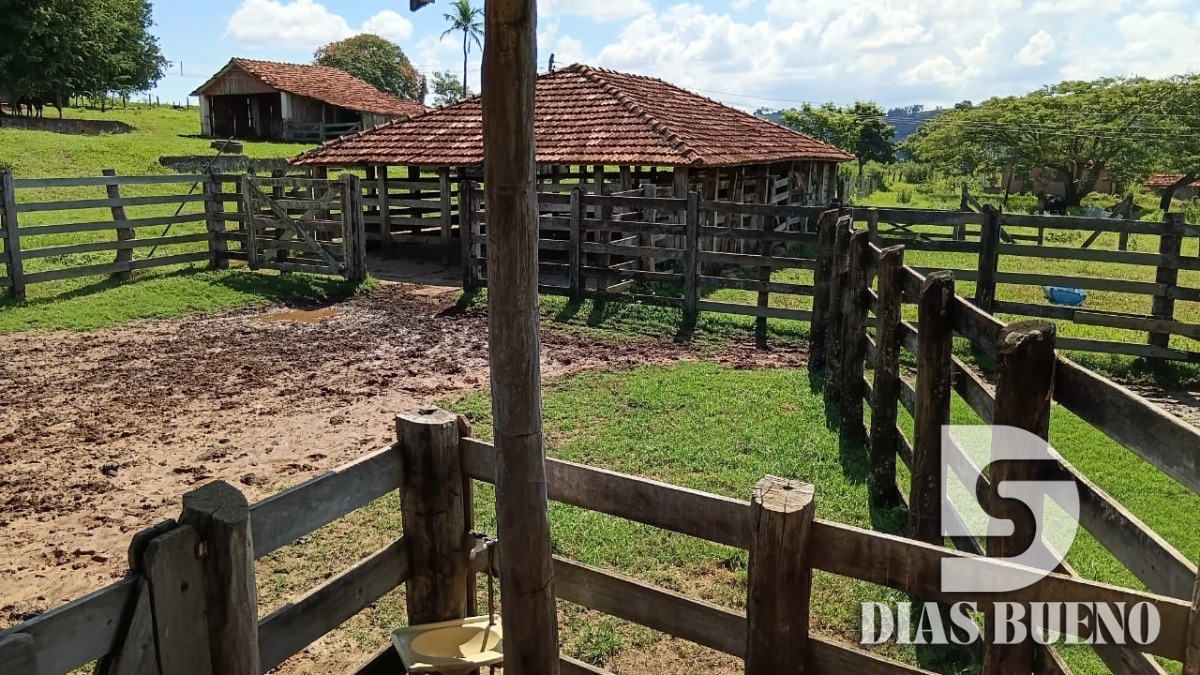 FAZENDA REGIAO MARILIA
